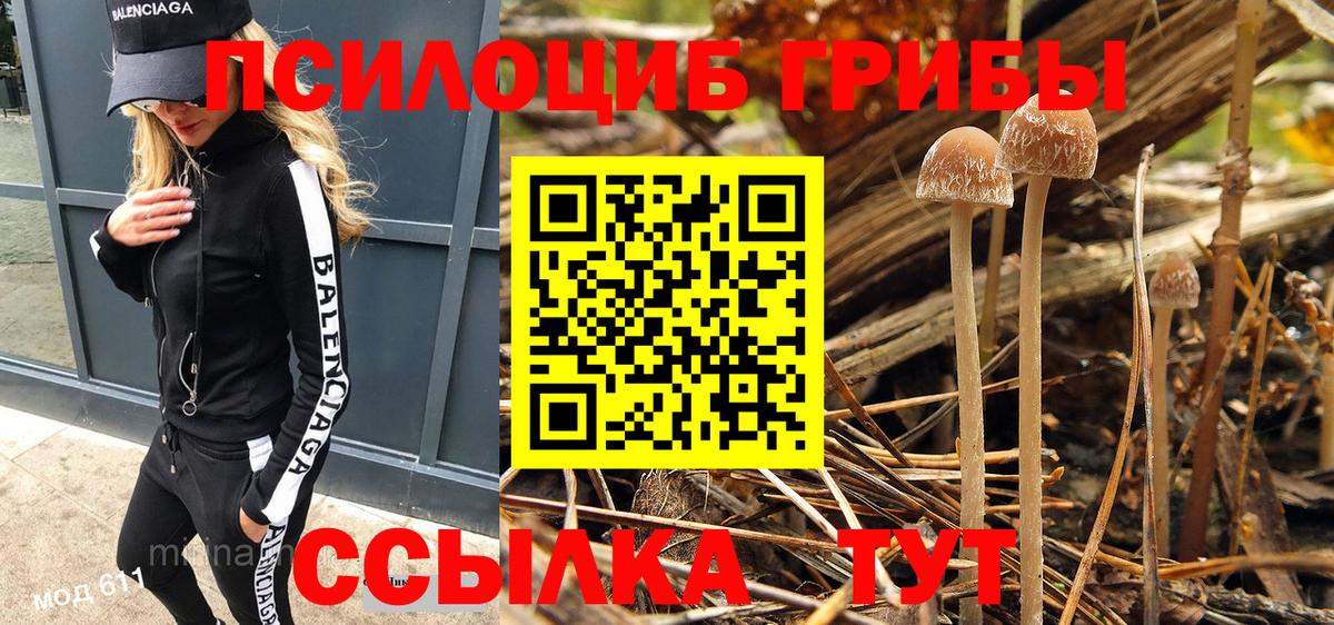 Химки  купить наркотики сайты  Псилоцибиновые грибы GOLDEN TEACHER  Вход с VPN  Псилоцибиновые грибы мицелий 